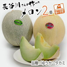楽天市場 ふるさと納税 ジャンル別お礼の品ランキング フルーツ 果物 楽天市場 ふるさと納税 ジャンル別お礼の品ランキング フルーツ 果物