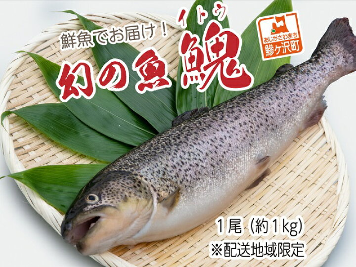 楽天市場 ふるさと納税 鮮魚でお届け 幻の魚 イトウ 1尾 約1kg 配送地域限定 魚介類 魚貝類 川魚 青森県鰺ヶ沢町