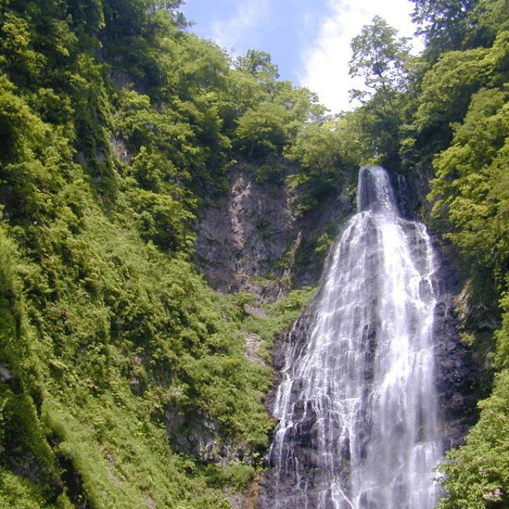 楽天市場 ふるさと納税 青森県鰺ヶ沢町 世界自然遺産 白神山地トレッキングガイド くろくまの滝コース 体験チケット お届け 5月下旬 11月上旬 実施期間 青森県鰺ヶ沢町