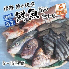 【ふるさと納税】津軽 鰺ヶ沢産鮮魚詰め合わせ5～15尾程度【11月～6月発送】 ※東北・関東限定　【魚介類】　お届け：2023年11月25日～2024年6月30日