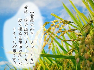 アイテムID:495627の画像3枚目