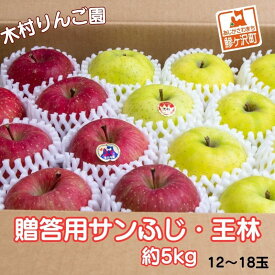 【ふるさと納税】りんご 青森 サンふじ 王林 約 5kg (12～18玉) リンゴ 詰め合わせ セット 青森県 鰺ヶ沢町産 木村りんご園 フルーツ 果物 果物類 白神山地 林檎 サンフジ ふじ ※オンライン決済限定　お届け：2025年11月20日～2026年1月10日