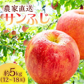 【ふるさと納税】りんご 青森 サンふじ 約 5kg (12～18玉) リンゴ サイキチ農園 青森県 鰺ヶ沢町産 フルーツ 果物 贈答用 贈答 ギフト 白神山地 果物類 林檎 サンフジ ふじ 2024　お届け：2025年11月10日～12月31日