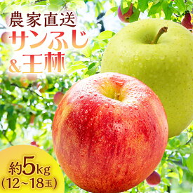 【ふるさと納税】りんご 青森 サンふじ 王林 約 5kg (12～18玉) リンゴ 詰め合わせ セット サイキチ農園 食べ比べ 青森県 鰺ヶ沢町産 フルーツ 果物 贈答用 贈答 ギフト サンフジ ふじ　お届け：2025年11月15日～2025年12月10日
