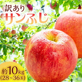 【ふるさと納税】りんご 訳あり 青森 サンふじ 約 10kg (28～36玉) リンゴ サイキチ農園 青森県 鰺ヶ沢町産 フルーツ 果物 不揃い 傷 林檎 サンフジ ふじ 2024　お届け：2025年11月15日～2026年1月10日
