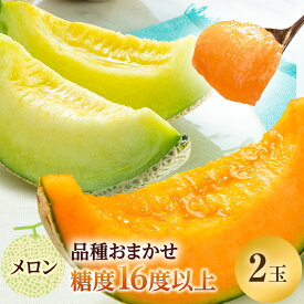 【ふるさと納税】メロン 先行 予約 青森 減農薬栽培メロン 2玉 糖度16度以上保証 減農薬 青肉 赤肉 青肉メロン 赤肉メロン フルーツ 果物 旬のフルーツ 旬の果物 旬 夏 レビュー 高評価 先行予約 2025 2025年 青森県　お届け：2026年7月20日～2026年8月25日