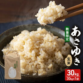 【ふるさと納税】数量限定 新米 あさゆき 玄米 30kg H.GREENWORK 令和7年産 米 お米 ご飯 30キロ 希少 限定 先行 予約 先行予約 こめ おこめ コメ ごはん 青森 青森県 鰺ヶ沢町　お届け：2025年10月上旬頃より順次配送予定