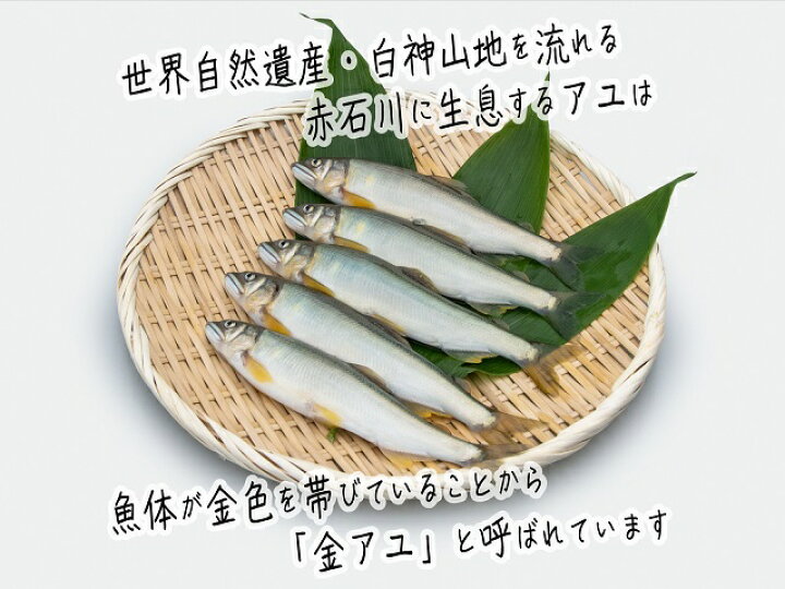 楽天市場】【ふるさと納税】子持ち鮎 5尾 2パック セット 詰め合わせ 