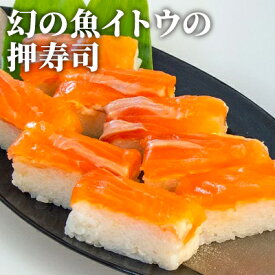 【ふるさと納税】幻の魚 イトウ 押し寿司 290g 真空冷凍パック 押しずし 寿司 お寿司 惣菜 おかず おつまみ つまみ お酒のつまみ 酒のつまみ 夕飯 軽食 幻 魚 川魚 魚介 魚介類 海鮮 青森 青森県 鰺ヶ沢町