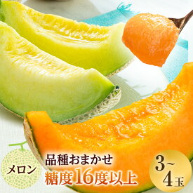 【ふるさと納税】【先行予約2025年産】津軽産 減農薬栽培メロン 3～4玉 糖度16度以上保証！ 果物類 メロン青肉 フルーツ メロン赤肉 　お届け：2025年7月20日～2025年8月25日