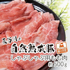 yӂ邳Ɣ[ŁzԂԓ  500g RN̂|ƃW[V[ J̎Rn  Ԃ u^ ؓ   Ԃ Ԃԗp Ԃԗp  