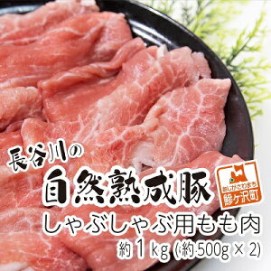 yӂ邳Ɣ[ŁzԂԓ  1kg (500g×2) RN̂|ƃW[V[ J̎Rn  Ԃ u^ ؓ   Ԃ Ԃԗp Ԃԗp 