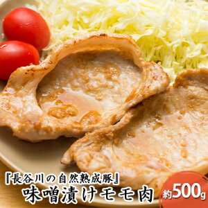 yӂ邳Ɣ[ŁzXЂ  500g RN̂|ƃW[V[ J̎Rn ȒP  Ԃ u^ ؓ   Ԃ Ԃԗp Ԃԗp 