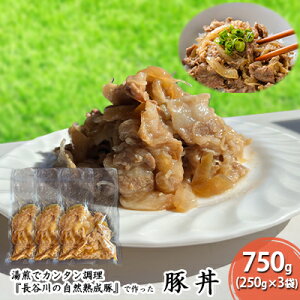 yӂ邳Ɣ[Łzؘ 750g (250g×3) J̎Rn    y gg ggHi ȒP  Ԃ u^ ؓ   Lv AEghA Lv X X 