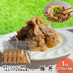 yӂ邳Ɣ[Łzؘ 1kg (250g×4) J̎Rn    y gg ggHi ȒP  Ԃ u^ ؓ   Lv AEghA Lv X X 