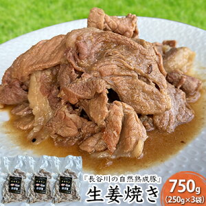 yӂ邳Ɣ[ŁzIĂ 750g (250g×3) J̎Rn    y gg ggHi ȒP  Ԃ u^ ؓ   Lv AEghA Lv X X