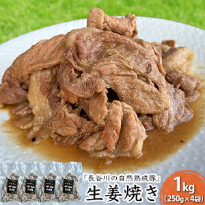 yӂ邳Ɣ[ŁzIĂ 1kg (250g×4) J̎Rn    y gg ggHi ȒP  Ԃ u^ ؓ   Lv AEghA Lv X X