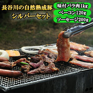 yӂ邳Ɣ[ŁzBBQ Vo[ Zbg v1.6kgȏ XY񂲂ƂɂɂŖt t o1kg x[R 120g \[Z[W 200g lߍ킹 J̎Rn  Ԃ u^ ؓ  