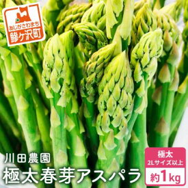 【ふるさと納税】先行予約 岩木山高原 極太 アスパラガス 約1kg 2L以上 5月6月発送 アスパラ 野菜 旬の野菜 産地直送 季節の野菜 春野菜 青森 青森県 鰺ヶ沢町　お届け：2026年5月10日～2026年6月5日