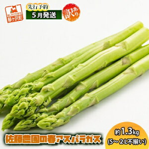 �y�ӂ邳�Ɣ[�Łz�A�X�p���K�X ��s�\�� 2026�N �t�A�X�p���K�X ��1.3kg S�`2L �󂠂� �s���� �����_�� �K�i�O �A�X�p�� �O���[���A�X�p�� ��� �t��� �t �{ ���ǂ� �Y�n���� �X�� �˃��� 