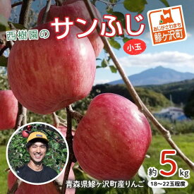 【ふるさと納税】りんご 訳あり 青森 サンふじ リンゴ 小玉 約 5kg （18～22玉） 青森県 鰺ヶ沢町産 西樹園 フルーツ 果物 果物類 白神山地 林檎 サンフジ ふじ　お届け：2025年11月15日～2026年1月10日