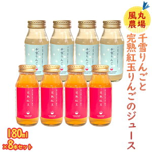 yӂ邳Ɣ[Łz۔_ 񂲂Ɗngʂ񂲂̃W[X Y XY 180mle4{ v8{Zbg  ʏ` _ ς |tFm[ svc Â 