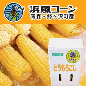 【ふるさと納税】【鰺ヶ沢町産ブランドとうもろこし】浜風コーン 10～12本入り 約4.5kg【8月～9月出荷】　【鰺ヶ沢町】　お届け：2024年8月10日～2024年9月10日