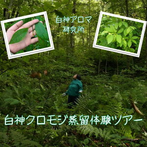 yӂ邳Ɣ[Łzy_A}z5l܂ŎQ\I_NW̌cA[iHtj