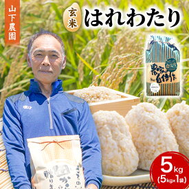 【ふるさと納税】米 令和7年産 はれわたり 玄米 5kg 1袋 こめ お米 おこめ コメ ご飯 ごはん 令和7年 山下農園 青森 青森県 　お届け：2025年10月上旬より順次出荷