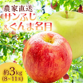 【ふるさと納税】サイキチ農園のサンふじ ぐんま名月 約 3kg (8～11玉) 青森県鰺ヶ沢町産りんご 　お届け：2025年11月5日～12月10日
