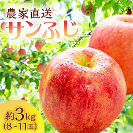 【ふるさと納税】サイキチ農園のサンふじ 約 3kg (8～11玉) 青森県鰺ヶ沢町産りんご 　お届け：2025年11月10日～12月31日