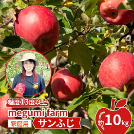 【ふるさと納税】りんご 【 数量限定 】 糖度13度以上 家庭用 サンふじ 約 10kg 糖度 青森 果物 くだもの フルーツ 青森県 鰺ヶ沢　お届け：2025年11月20日～2025年12月15日