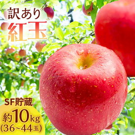 【ふるさと納税】りんご 訳あり スマートフレッシュ 紅玉 約 10kg (40～50玉) 青森県産 リンゴ サイキチ農園 青森県 鰺ヶ沢町産 フルーツ 果物 不揃い 傷 林檎　お届け：2025年12月10日～2025年12月27日