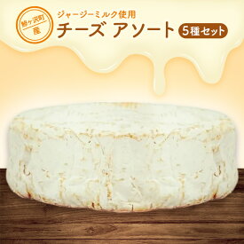 【ふるさと納税】鰺ヶ沢町産 ジャージーミルク使用 自家製 チーズ アソートパック 【 加工食品 乳製品 】　お届け：チーズの熟成の関係でご注文から発送まで最長3ヶ月前後お時間を頂戴する可能性がございます。