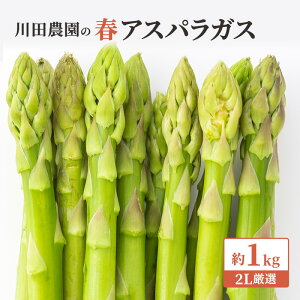 �y�ӂ邳�Ɣ[�Łz��s�\�� ��؎R���� �A�X�p���K�X ��1kg 2L���I 5��6������ �A�X�p�� ��� �{�̖�� �Y�n���� �G�߂̖�� �t��� �X �X�� �˃��򒬁@���͂��F2026�N5��10���`2026�N6��5��