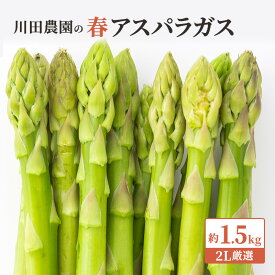 【ふるさと納税】先行予約 岩木山高原 アスパラガス 約1.5kg 2L厳選 5月6月発送 アスパラ 野菜 旬の野菜 産地直送 季節の野菜 春野菜 青森 青森県 鰺ヶ沢町　お届け：2026年5月10日～2026年6月5日