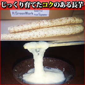 【ふるさと納税】青森県鰺ヶ沢町産 コクのある美味しい長芋(3kg)