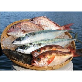 【ふるさと納税】まるごと海鮮セット 魚介類