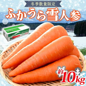 【ふるさと納税】【冬季数量限定】ふかうら雪人参 約10kg 人参 にんじん ニンジン ジュース フルーティー 甘い おいしい ブランド 野菜 青森県 深浦町　お届け：2025年12月下旬～2026年3月下旬