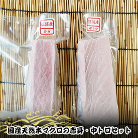 【ふるさと納税】国産天然本マグロの赤身・中トロセット　C-03　【 魚貝類 鮪 マグロ 高品質 マグロセット 】