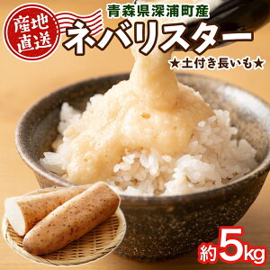 yӂ邳Ɣ[Łzyӂ邳Ɣ[ŁzX[YY loX^[ 5kg y    Ƃ S ˂΂˂ M zNzN Z Â Yn X [Y ͂F2025N1