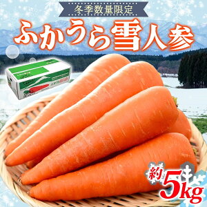 yӂ邳Ɣ[Łz y~GʌzӂlQ 5kg lQ ɂ񂶂 jW W[X t[eB[ Â  uh  X [Y@͂F2025N12{`2026N3{