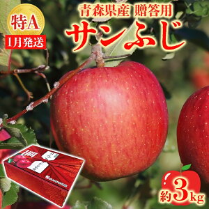 yӂ邳Ɣ[ŁzTӂ 3kg p A I 1 ϔ  ь S ʕ t[c  { XY  蕨 v[g lC k Y Yn 퉷 X