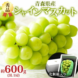 【ふるさと納税】シャインマスカット 秀品 1房 約600g 青森県産 ぶどう ブドウ 葡萄 種なし 大粒 果物 フルーツ くだもの 果実 旬 贈答用 化粧箱 贈り物 人気 お取り寄せ 産地直送 青森県 西目屋村　お届け：2025年9月下旬～12月中旬