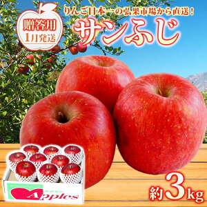 yӂ邳Ɣ[Łz y1z p Tӂ 3kg  ь S ʕ t[c  { XY  蕨 v[g lC k Y 퉷 Yn  X 