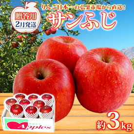【ふるさと納税】【2月発送】 贈答用 サンふじ 約3kg りんご 林檎 リンゴ 果物 フルーツ くだもの 旬 青森県産 お取り寄せ 贈り物 プレゼント 人気 東北 名産 常温 産地直送 送料無料 青森県 西目屋村　お届け：2026年2月1日～2026年2月27日