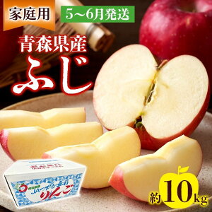 yӂ邳Ɣ[Łzƒp ӂ 10kg ӂ  S X ь ʕ t[c   蕨 Yn L܍͔|  X ډ ͂F5{琏