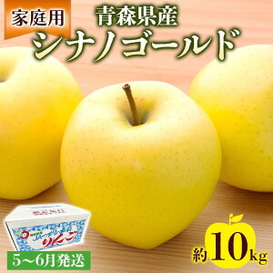 yӂ邳Ɣ[Łzƒp VimS[h 10kg  S X ь ʕ t[c   蕨 v[g Yn  X ډ ͂F5{琏