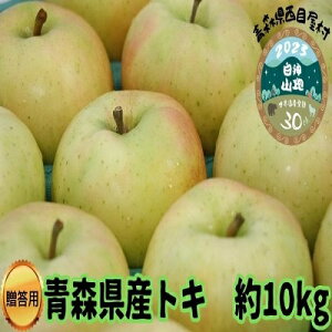 yӂ邳Ɣ[ŁzyXY񂲁zpgL 10kg ʕ t[c fU[g H  Y Ö ₳_ ʏ`Lx VLVL X @͂F2025N1010`2025N11