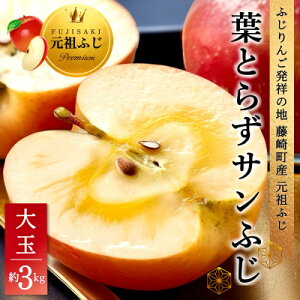 yӂ邳Ɣ[ŁztƂ炸Tӂ  3kg(6`8) ƒp(󂠂) XYS XьyzsnFEꌧzy1102373z